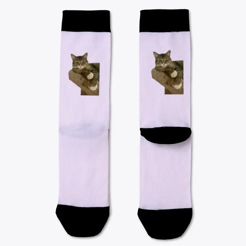 He-Man Cat Socks